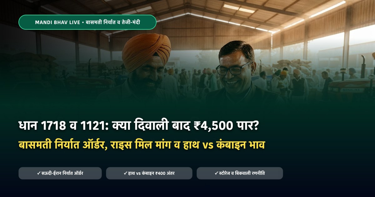 धान 1718 और 1121 का भाव दिवाली बाद क्या रहेगा बासमती निर्यात रिपोर्ट - Mandi Bhav Live