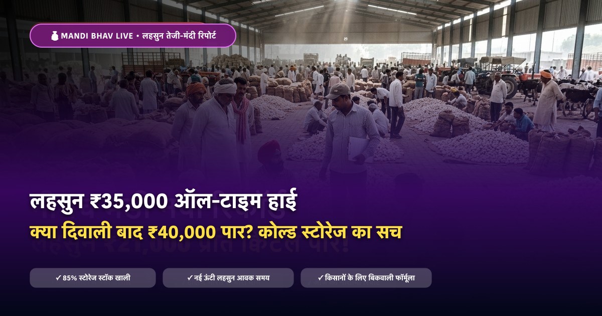 लहसुन भाव 2026 नीमच मंडी रिकॉर्ड तेजी - Mandi Bhav Live