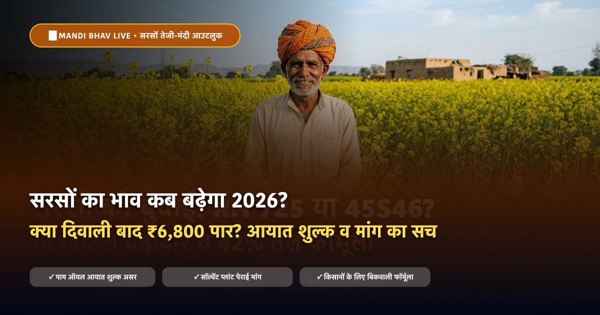 सरसों का भाव कब बढ़ेगा 2026 दिवाली बाद तेजी मंदी - Mandi Bhav Live