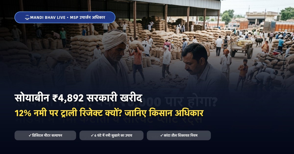 सोयाबीन सरकारी खरीद 2026 12% नमी नियम व किसान अधिकार - Mandi Bhav Live
