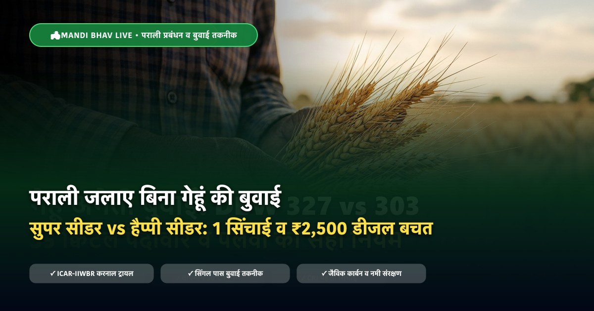 पराली में सुपर सीडर बनाम हैप्पी सीडर गेहूं बुवाई - Mandi Bhav Live